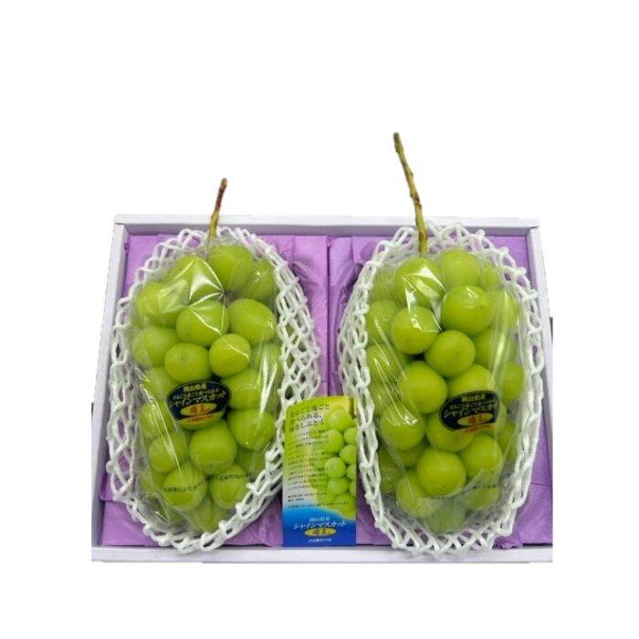 【ふるさと納税】2025年 岡山県産　シャインマスカット『晴王』2房(1房480g以上) 化粧箱入り | フルーツ 果物 くだもの ぶどう ブドウ シャインマスカット 晴王 国産 岡山県産 食品 人気 おすすめ 送料無料 ギフト 贈り物 贈答品 プレゼント サムネイル3