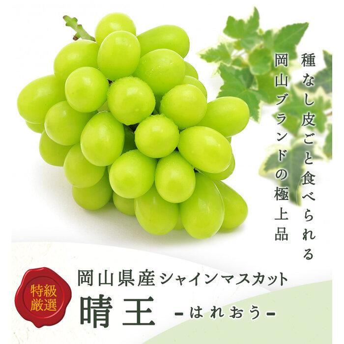 2025年 岡山県産　シャインマスカット『晴王』1房(800g以上) 化粧箱入り | フルーツ 果物 くだもの ぶどう ブドウ シャインマスカット 晴王 国産 岡山県産 食品 人気 おすすめ 送料無料 ギフト 贈り物 贈答品 プレゼント
