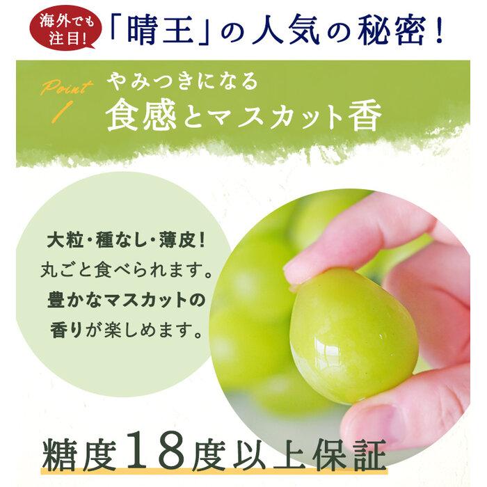 【ふるさと納税】2025年 岡山県産　シャインマスカット『晴王』1房(800g以上) 化粧箱入り | フルーツ 果物 くだもの ぶどう ブドウ シャインマスカット 晴王 国産 岡山県産 食品 人気 おすすめ 送料無料 ギフト 贈り物 贈答品 プレゼント サムネイル3