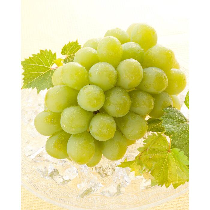 【ふるさと納税】ぶどう 2026年 岡山県産 マスカットオブアレキサンドリア1房(600g以上・秀品以上) 化粧箱入り | フルーツ 果物 くだもの 食品 人気 おすすめ 送料無料 サムネイル2