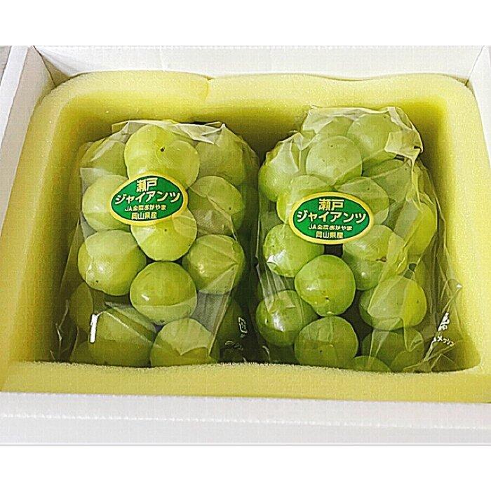 【ふるさと納税】ぶどう 2026年 岡山県産 瀬戸ジャイアンツ2房(1房480g以上) 化粧箱入り | フルーツ 果物 くだもの 食品 人気 おすすめ 送料無料 サムネイル2