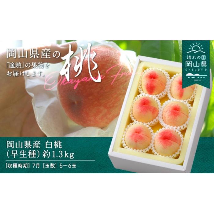 桃 2026年 岡山県産 白桃（早生種） 約1.3kg 5～6玉（クール便） | フルーツ 果物 くだもの 食品 人気 おすすめ 送料無料