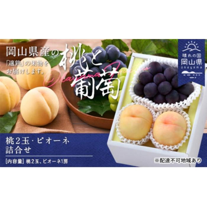 桃 ぶどう 2026年 桃2玉・ピオーネ1房 詰合せ（クール便） | フルーツ 果物 くだもの 食品 人気 おすすめ 送料無料