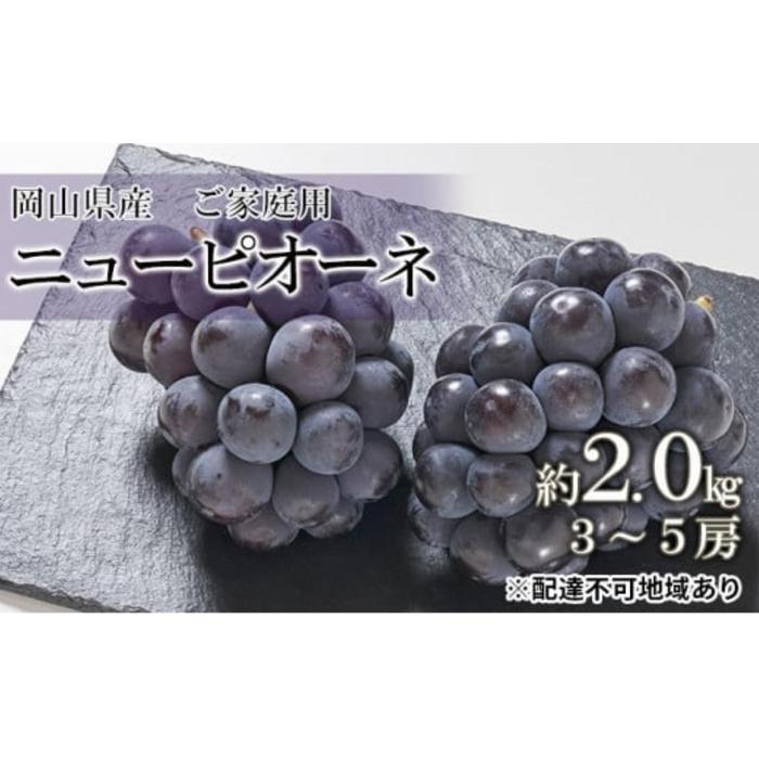 ぶどう 2026年 ご家庭用 ニューピオーネ 約2.0kg（3～5房）（クール便） | フルーツ 果物 くだもの 食品 人気 おすすめ 送料無料