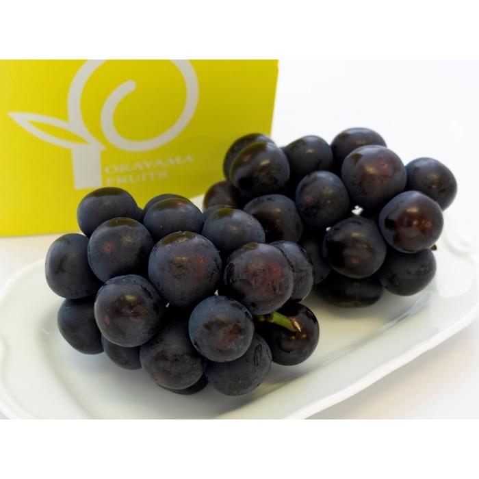 ぶどう 2026年 ご家庭用 岡山県産 オーロラブラック 1.2kg（2～3房）（クール便） | フルーツ 果物 くだもの 食品 人気 おすすめ 送料無料