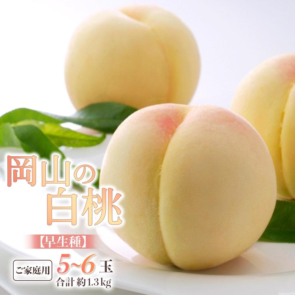 桃 2026年 ご家庭用 岡山の 白桃 早生種 5～6玉 合計約1.3kg もも モモ 岡山県産 国産 フルーツ 果物 ギフト | もも フルーツ 果物 くだもの 食品 人気 おすすめ 送料無料