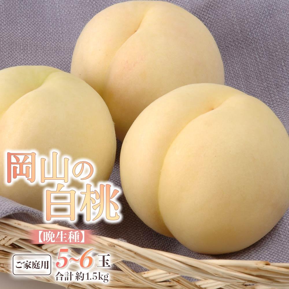 桃 2026年 ご家庭用 白桃（晩生種） 5～6玉 合計約1.5kg もも モモ 岡山県産 国産 フルーツ 果物 ギフト | もも フルーツ 果物 くだもの 食品 人気 おすすめ 送料無料