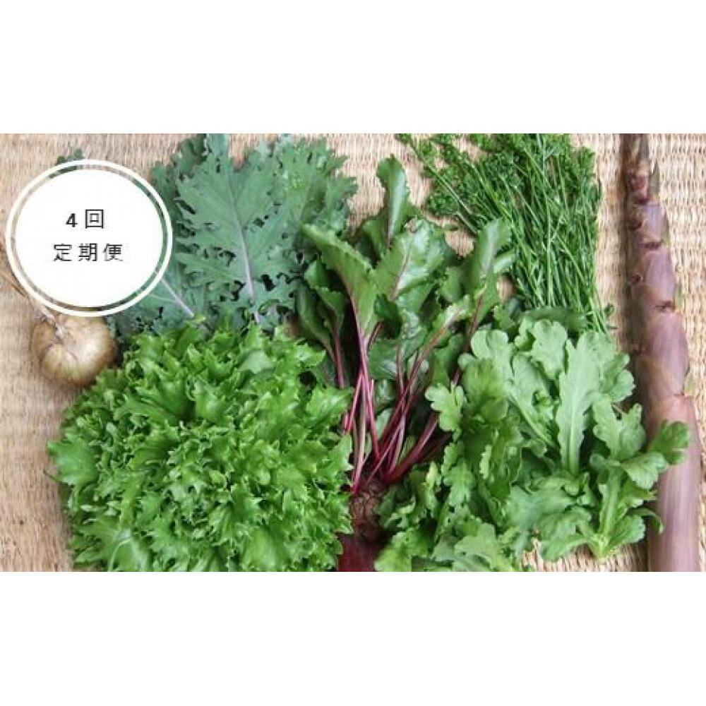 【ふるさと納税】野菜［4回定期便］ 旬の「固定種」野菜 バイオダイナミック農業 7品目前後（7月～10月のお届け）冷蔵配送 | 野菜 やさい 食品 人気 おすすめ 送料無料 - 画像2