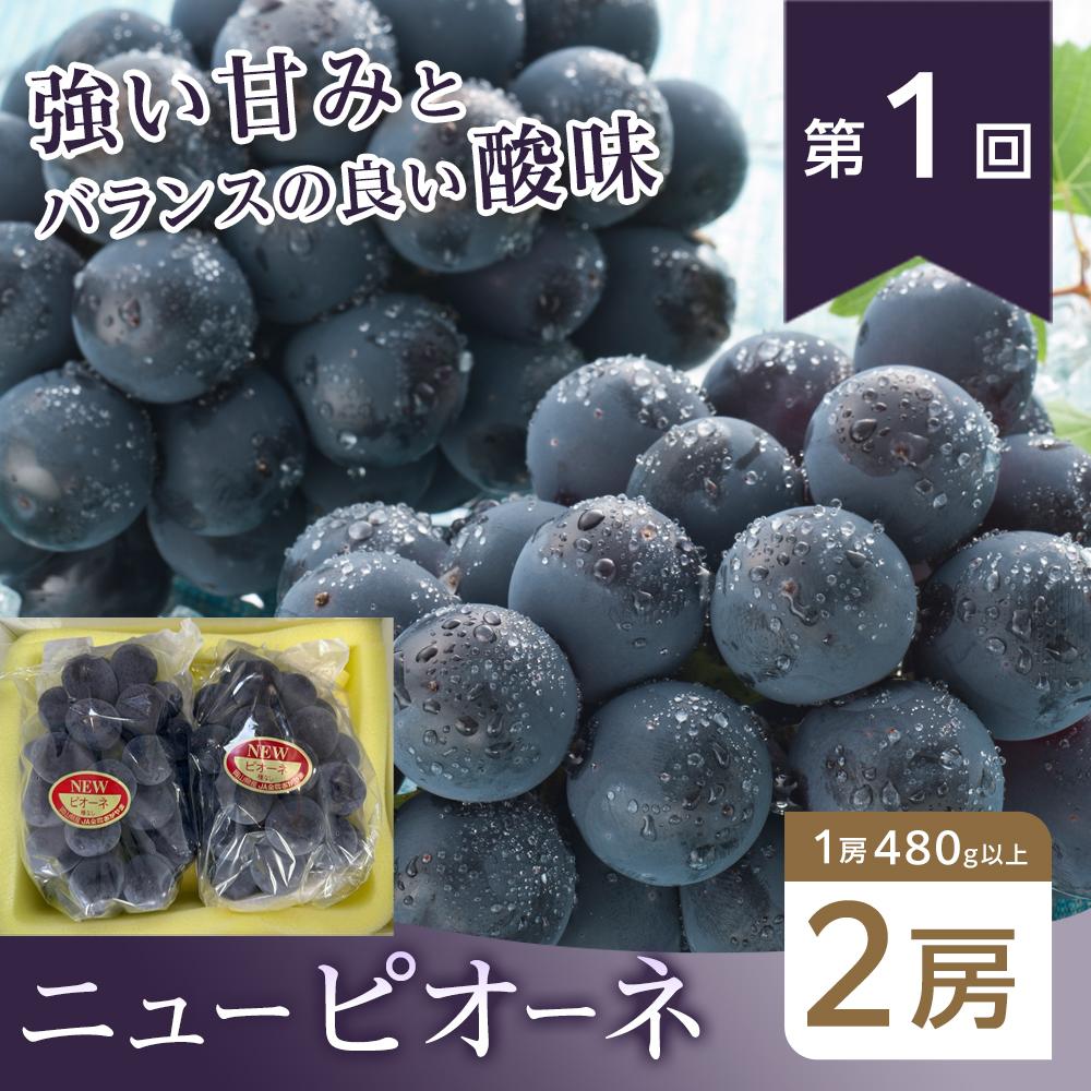 【ふるさと納税】フルーツ 2026年【全4回コース】晴れの国岡山 フルーツ定期便 | フルーツ 果物 くだもの 食品 人気 おすすめ 送料無料 サムネイル2
