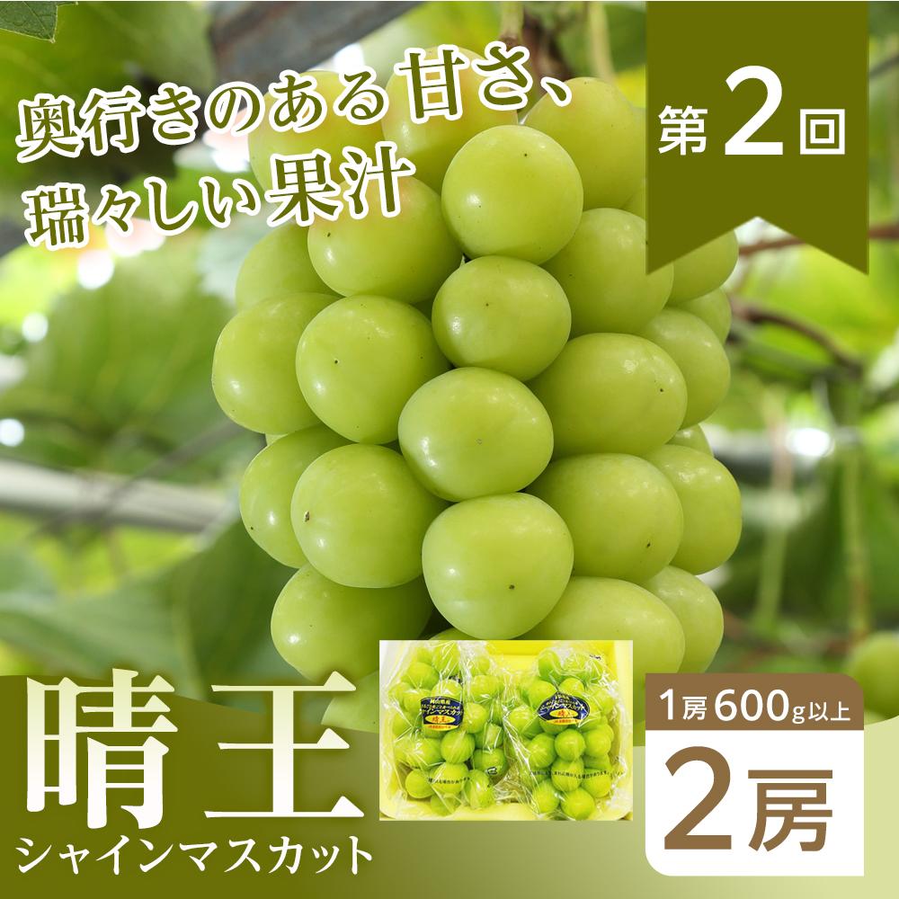 【ふるさと納税】フルーツ 2026年【全4回コース】晴れの国岡山 フルーツ定期便 | フルーツ 果物 くだもの 食品 人気 おすすめ 送料無料 サムネイル3