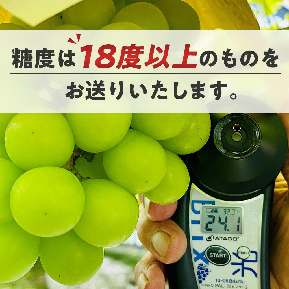 【ふるさと納税】ぶどう 2026年 シャインマスカット 秀品 約3kg 合計5～7房 農林大臣賞受賞 岡山 国産 果物 フルーツ シャイン マスカット 2026年6月下旬から発送 | フルーツ 果物 くだもの 食品 人気 おすすめ サムネイル3
