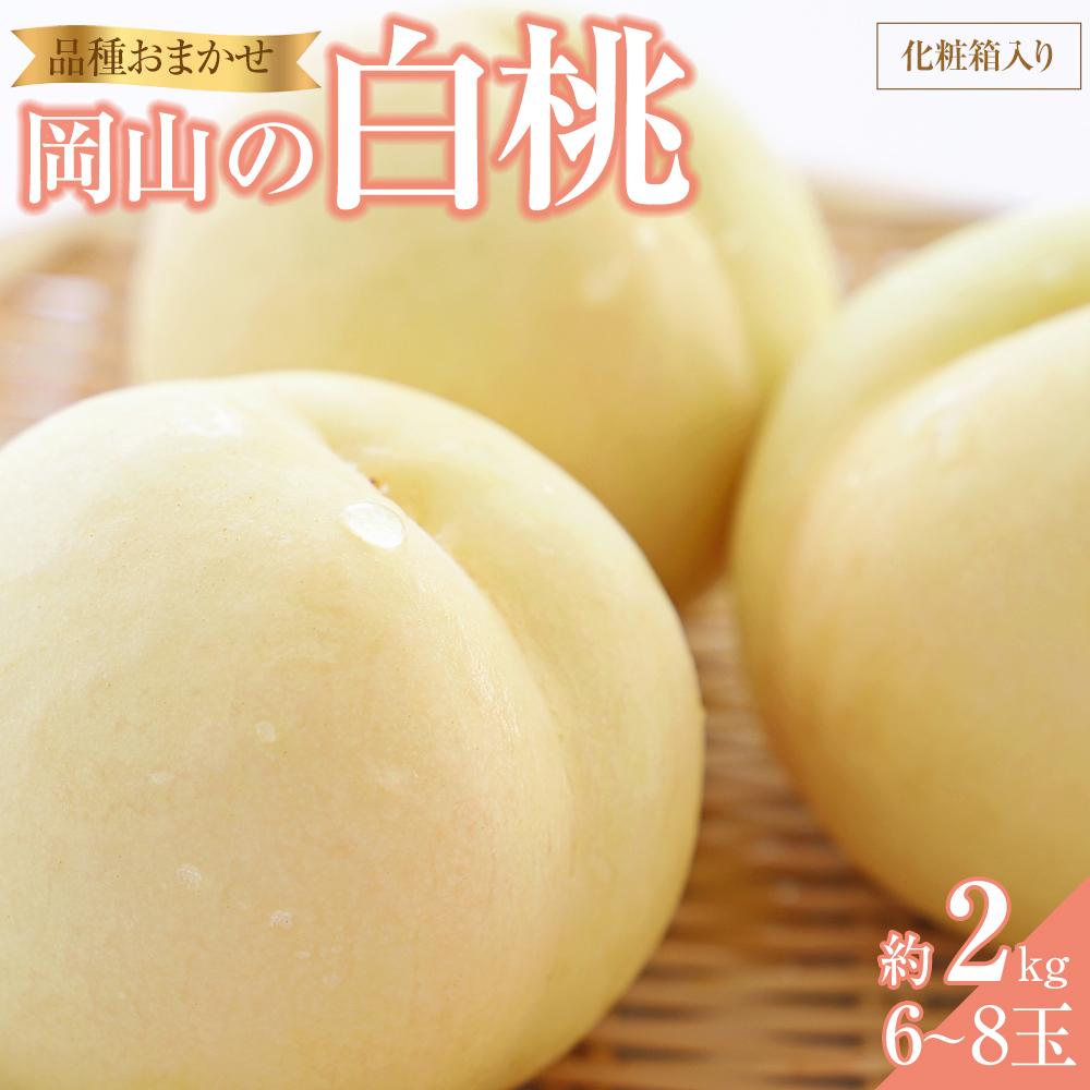 桃 2026年 岡山の 白桃 （早生、中生種）約2.0kg 6～8玉 もも モモ 岡山県産 国産 フルーツ 果物 ギフト 横木農園 | もも フルーツ 果物 くだもの 食品 人気 おすすめ 送料無料