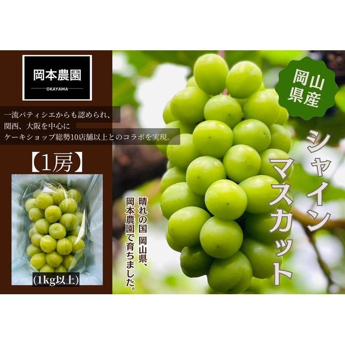 シャインマスカット　1房1.0kg | フルーツ 果物 くだもの 食品 人気 おすすめ 送料無料