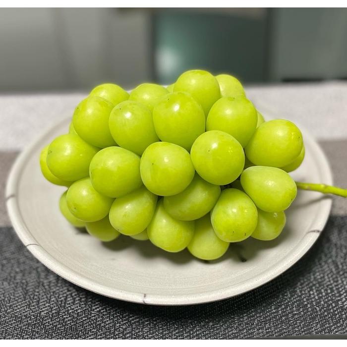 【ふるさと納税】シャインマスカット　1房1.0kg | フルーツ 果物 くだもの 食品 人気 おすすめ 送料無料 サムネイル2