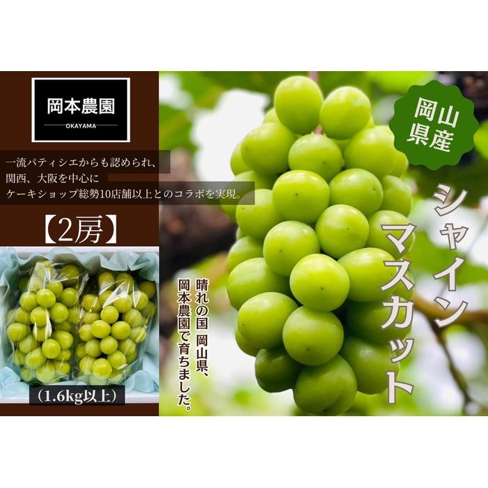シャインマスカット　2房1.6kg | フルーツ 果物 くだもの 食品 人気 おすすめ 送料無料