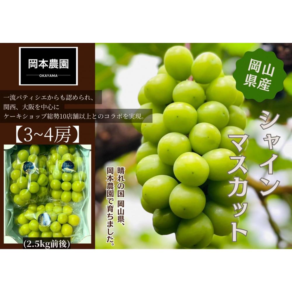 シャインマスカット　3～4房　約2.5kg | フルーツ 果物 くだもの 食品 人気 おすすめ 送料無料