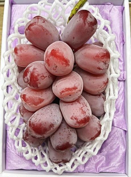 【ふるさと納税】2026年 岡山県産 ブラックシャインマスカット 1房 600g以上 種無し 化粧箱入り | フルーツ 果物 くだもの シャインマスカット ブラックシャインマスカット 種なし 岡山 岡山県産 国産 ギフト プレゼント 贈答用 おすすめ 人気 サムネイル2