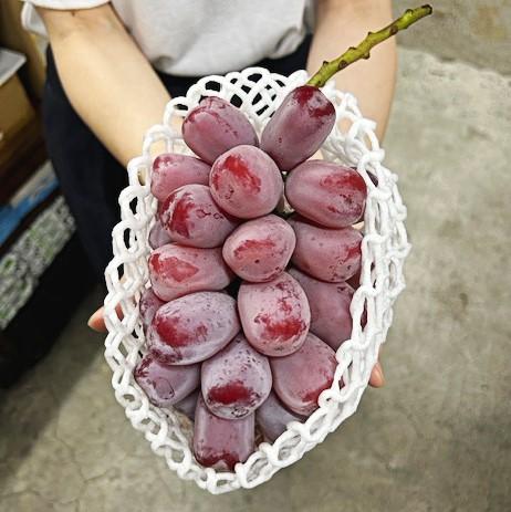 【ふるさと納税】2026年 岡山県産 ブラックシャインマスカット 1房 600g以上 種無し 化粧箱入り | フルーツ 果物 くだもの シャインマスカット ブラックシャインマスカット 種なし 岡山 岡山県産 国産 ギフト プレゼント 贈答用 おすすめ 人気 サムネイル3