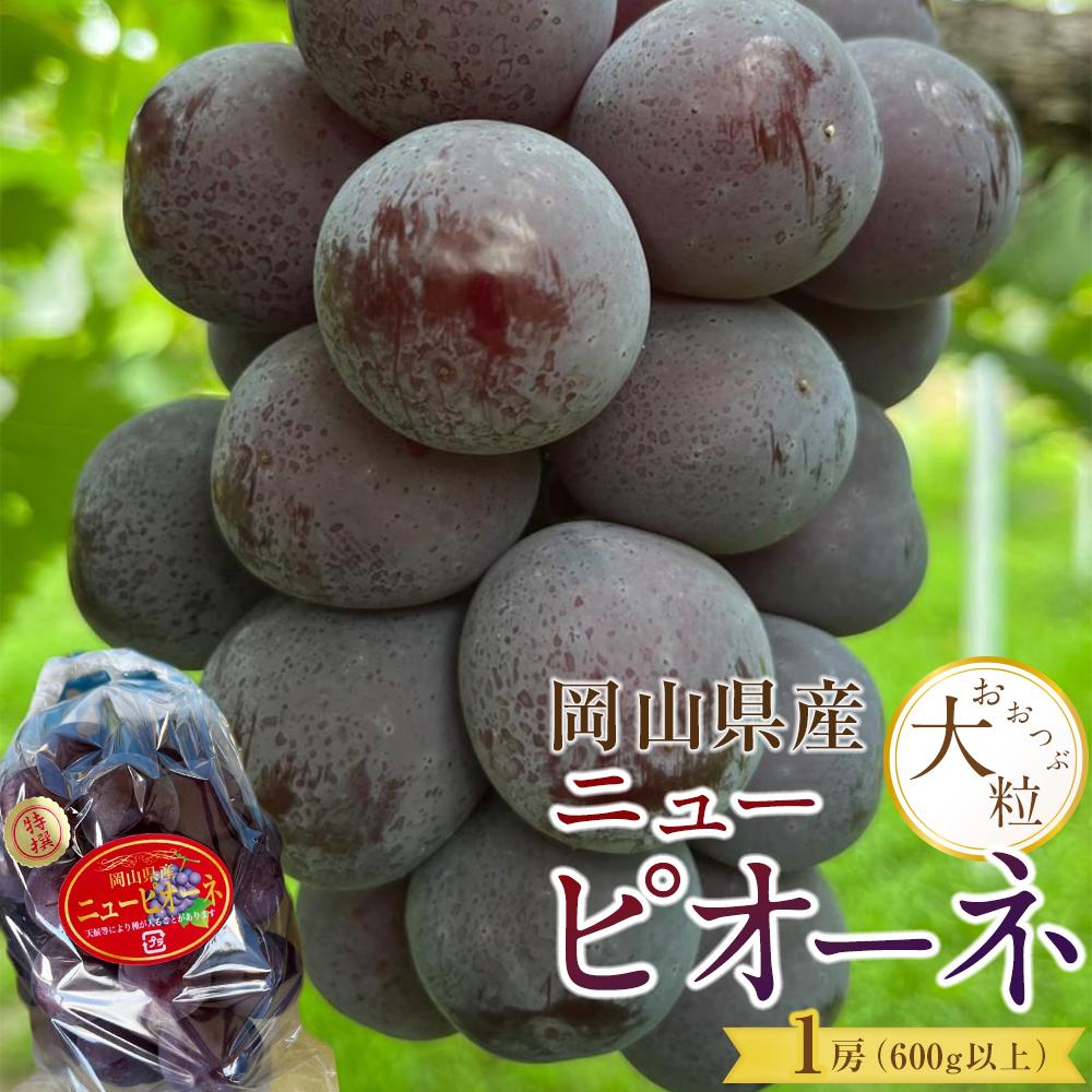 ぶどう 2026年 岡山県産 大粒 ニューピオーネ 1房（600g以上）農園直送 朝採れ | フルーツ 果物 くだもの 食品 人気 おすすめ 送料無料
