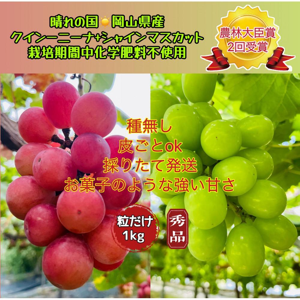 ぶどう 2026年 クイーンニーナ シャインマスカット 秀品 粒だけ 約1kg 農林大臣賞受賞 岡山 国産 果物 フルーツ シャイン マスカット2026年8月上旬から発送 | フルーツ 果物 くだもの 食品 人気