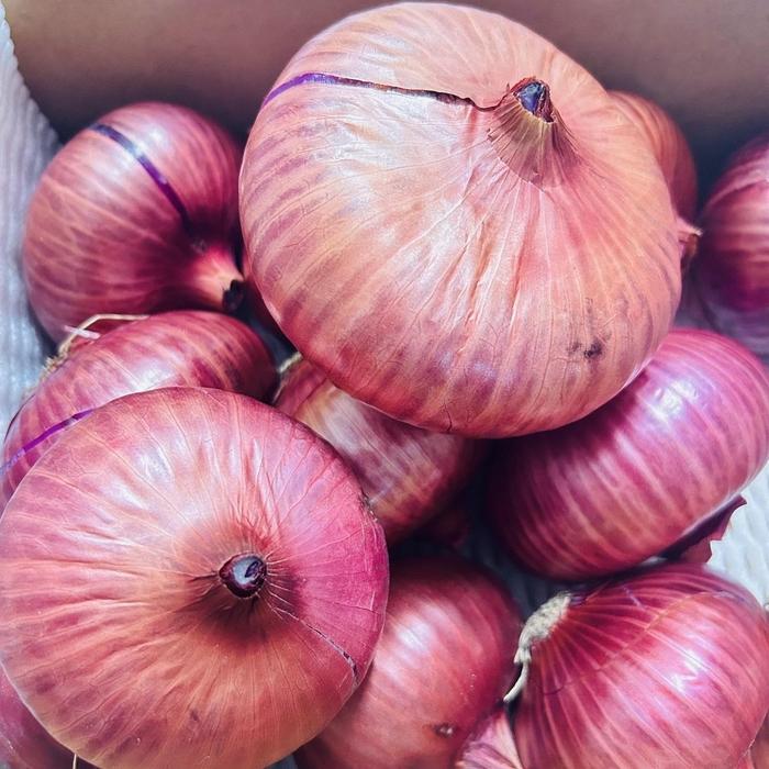 【ふるさと納税】甘すぎ新鮮岡山市産 赤紫玉ねぎ3kg 減化学肥料 家庭用 タマネギ 生食 健康 野菜 食品 栽培期間中農薬・除草剤不使用自然の力健康野菜 訳あり(サイズ混合) | 野菜 やさい 食品 人気 おすすめ 送料無料 - 画像3