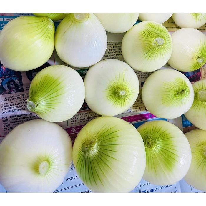 【ふるさと納税】甘すぎ新鮮岡山市産 玉ねぎ5kg 減化学肥料 家庭用 タマネギ 生食 健康 野菜 食品 栽培期間中農薬・除草剤不使用全て自然の力健康野菜 訳あり(サイズ混合) | 野菜 やさい 食品 人気 おすすめ 送料無料 - 画像3