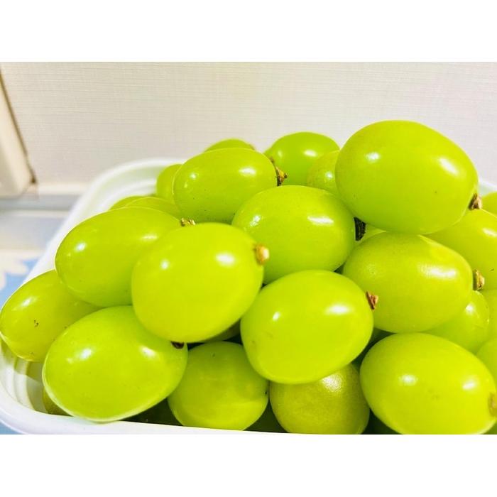 【ふるさと納税】ぶどう2026年 クイーンニーナ シャインマスカット マイハート 秀品 粒だけ 約1.5kg 農林大臣賞受賞 岡山 国産 果物 フルーツ 食べ比べ 2026年8月中旬から発送 | フルーツ 果物 くだもの 食品 人気 サムネイル3