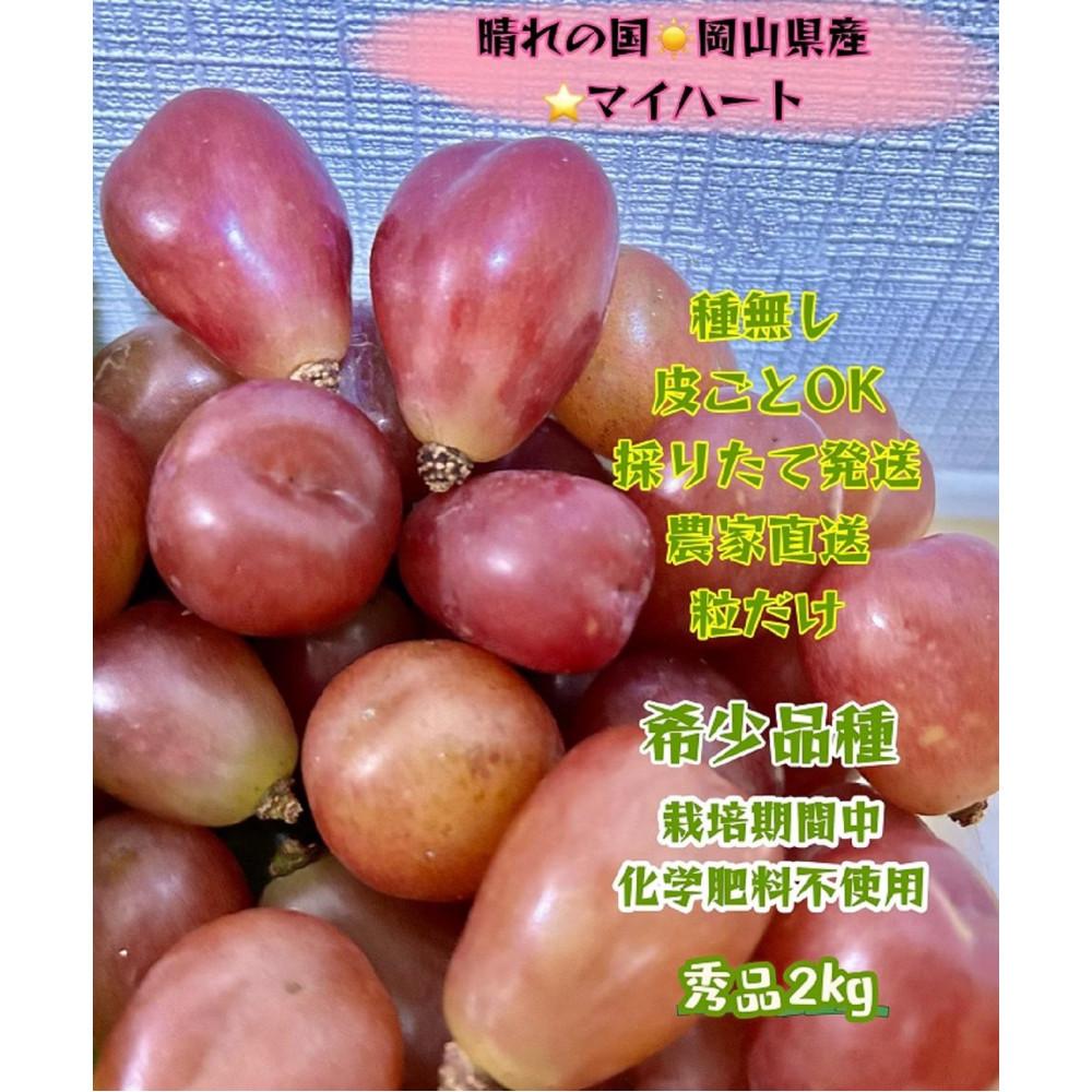 ぶどう 2026年 マイハート 秀品 粒だけ 約2kg 岡山 国産 果物 フルーツ 2026年8月中旬から発送 | フルーツ 果物 くだもの 食品 人気 おすすめ 送料無料