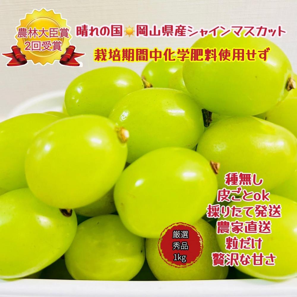 ぶどう 2026年 シャインマスカット 厳選 秀品 粒だけ 約1kg 岡山 国産 果物 フルーツ 2026年7月上旬から発送 | フルーツ 果物 くだもの シャインマスカット マスカット 厳選 岡山県産 国産 ギフト 贈答用 プレゼント 贈り物