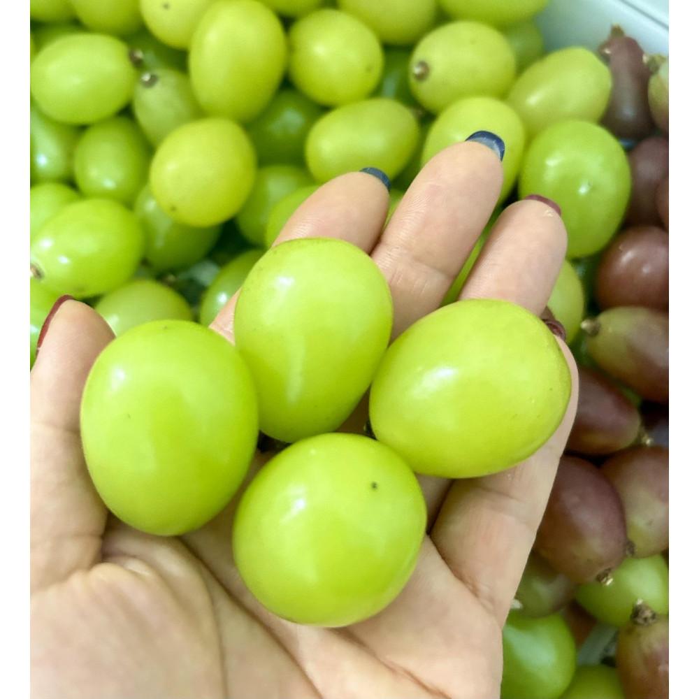 【ふるさと納税】ぶどう 2026年 シャインマスカット 厳選 秀品 粒だけ 約1kg 岡山 国産 果物 フルーツ 2026年7月上旬から発送 | フルーツ 果物 くだもの シャインマスカット マスカット 厳選 岡山県産 国産 ギフト 贈答用 プレゼント 贈り物 サムネイル2