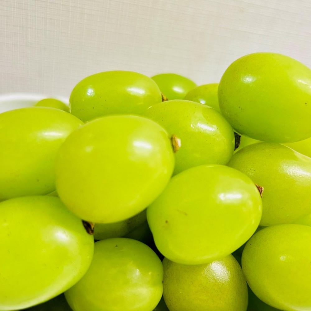 【ふるさと納税】ぶどう 2026年 シャインマスカット 厳選 秀品 粒だけ 約1kg 岡山 国産 果物 フルーツ 2026年7月上旬から発送 | フルーツ 果物 くだもの シャインマスカット マスカット 厳選 岡山県産 国産 ギフト 贈答用 プレゼント 贈り物 サムネイル3