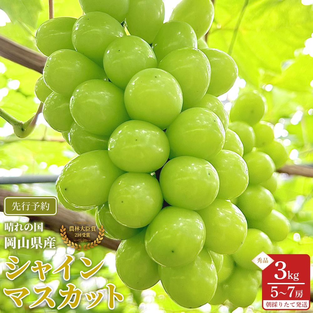 ぶどう 2026年 シャインマスカット 秀品 約3kg 合計5～7房 農林大臣賞受賞 岡山 国産 果物 フルーツ シャイン マスカット 2026年6月下旬から発送 | フルーツ 果物 くだもの 食品 人気 おすすめ