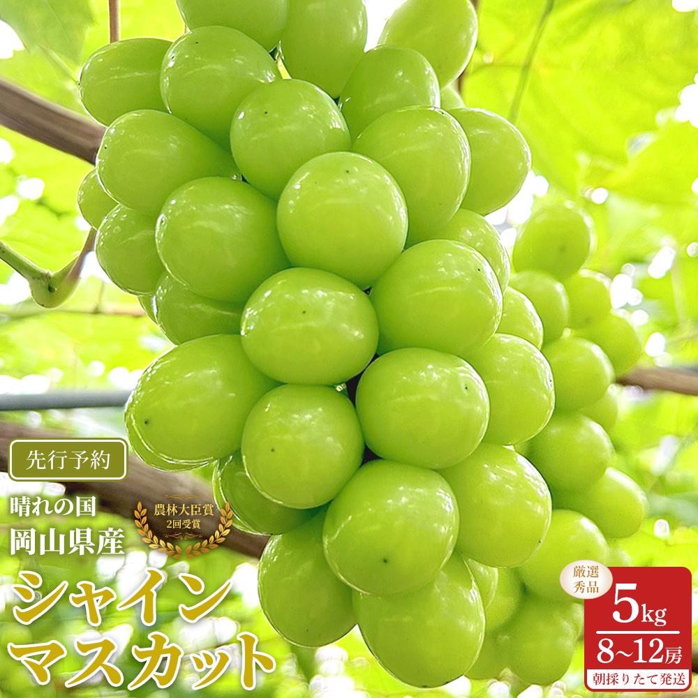 ぶどう 2026年 シャインマスカット 厳選 秀品 約5kg 合計8～12房 農林大臣賞受賞 岡山 国産 果物 フルーツ シャイン マスカット 2026年7月上旬から発送 | フルーツ 果物 くだもの 食品 人気