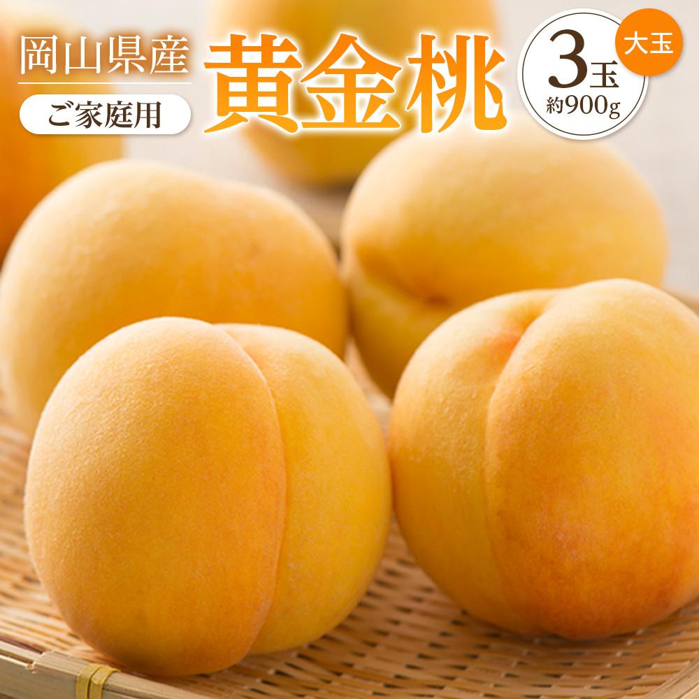 桃 2026年 ご家庭用 おかやま の 黄金桃 大玉 3玉（合計約900g） もも モモ 岡山県産 国産 フルーツ 果物 | もも フルーツ 果物 くだもの 食品 人気 おすすめ 送料無料