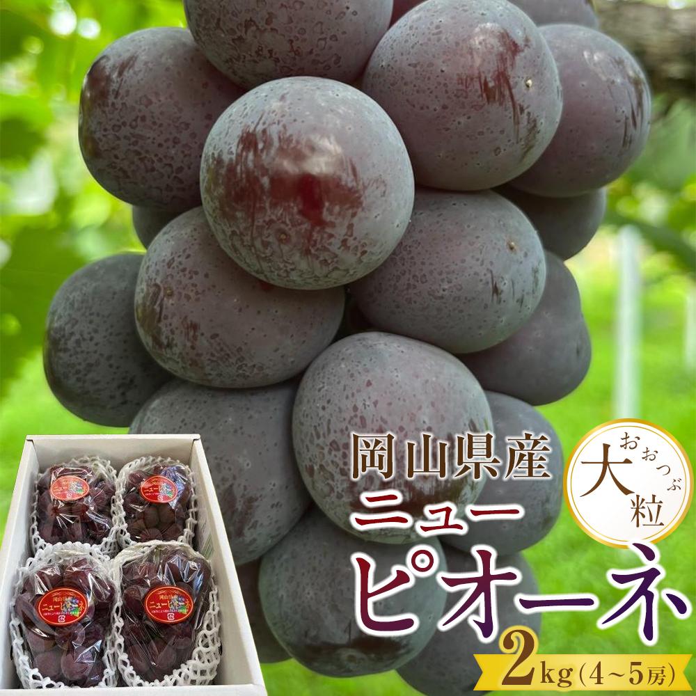 ぶどう 2026年 岡山県産 大粒 ニューピオーネ 2kg（4房～5房）農園直送 朝採れ | フルーツ 果物 くだもの 食品 人気 おすすめ 送料無料
