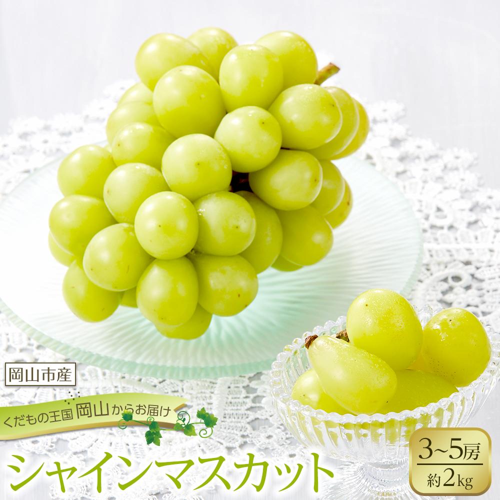 ぶどう 2026年 シャイン マスカット 3～5房 合計約2kg 種無し ブドウ 葡萄 岡山市産 国産 フルーツ 果物 渡邊農園 | フルーツ 果物 くだもの 食品 人気 おすすめ 送料無料