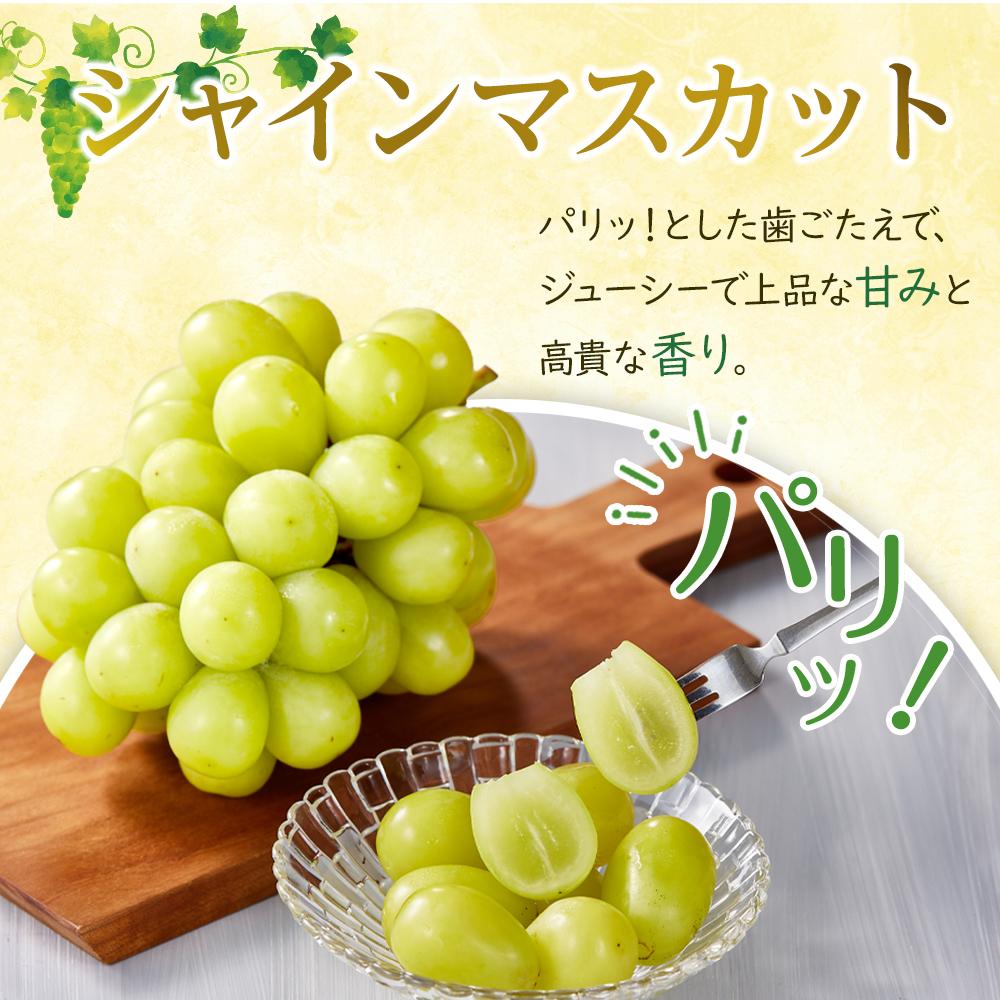 【ふるさと納税】ぶどう 2026年 シャイン マスカット 3～5房 合計約2kg 種無し ブドウ 葡萄 岡山市産 国産 フルーツ 果物 渡邊農園 | フルーツ 果物 くだもの 食品 人気 おすすめ 送料無料 サムネイル3