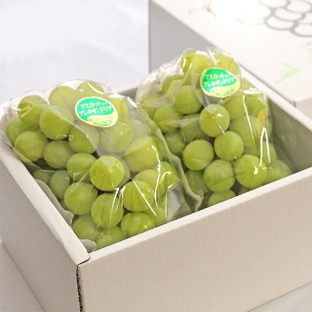 【ふるさと納税】2026年 岡山県産 マスカット・オブ・アレキサンドリア 2房 約1.2kg くぼ農園 | マスカットオブアレキサンドリア 岡山 マスカット 岡山県 ぶどう 葡萄 数量 限定 数量限定 果物 フルーツ 美味しい 新鮮 お取り寄せ 旬 送料無料 2025年 ご家庭用 サムネイル2