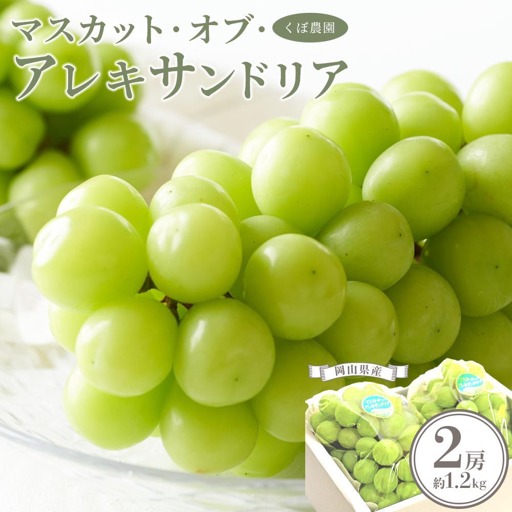 2026年 岡山県産 マスカット・オブ・アレキサンドリア 2房 約1.2kg くぼ農園 | マスカットオブアレキサンドリア 岡山 マスカット 岡山県 ぶどう 葡萄 数量 限定 数量限定 果物 フルーツ 美味しい 新鮮 お取り寄せ 旬 送料無料 2025年 ご家庭用