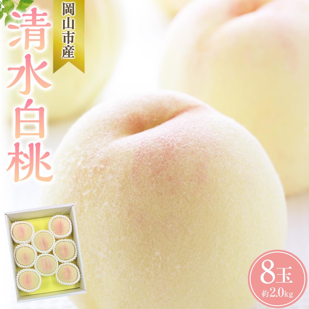 桃 2026年 清水 白桃 8玉 合計約2.0kg もも モモ 岡山市産 国産 フルーツ 果物 ギフト | もも フルーツ 果物 くだもの 食品 人気 おすすめ 送料無料
