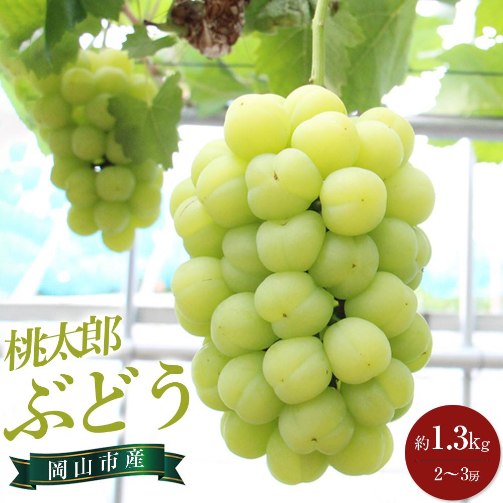 ぶどう 2026年 桃太郎 ぶどう 約1.3kg 2～3房 ブドウ 葡萄 岡山市産 国産 フルーツ 果物 ギフト | フルーツ 果物 くだもの 食品 人気 おすすめ 送料無料