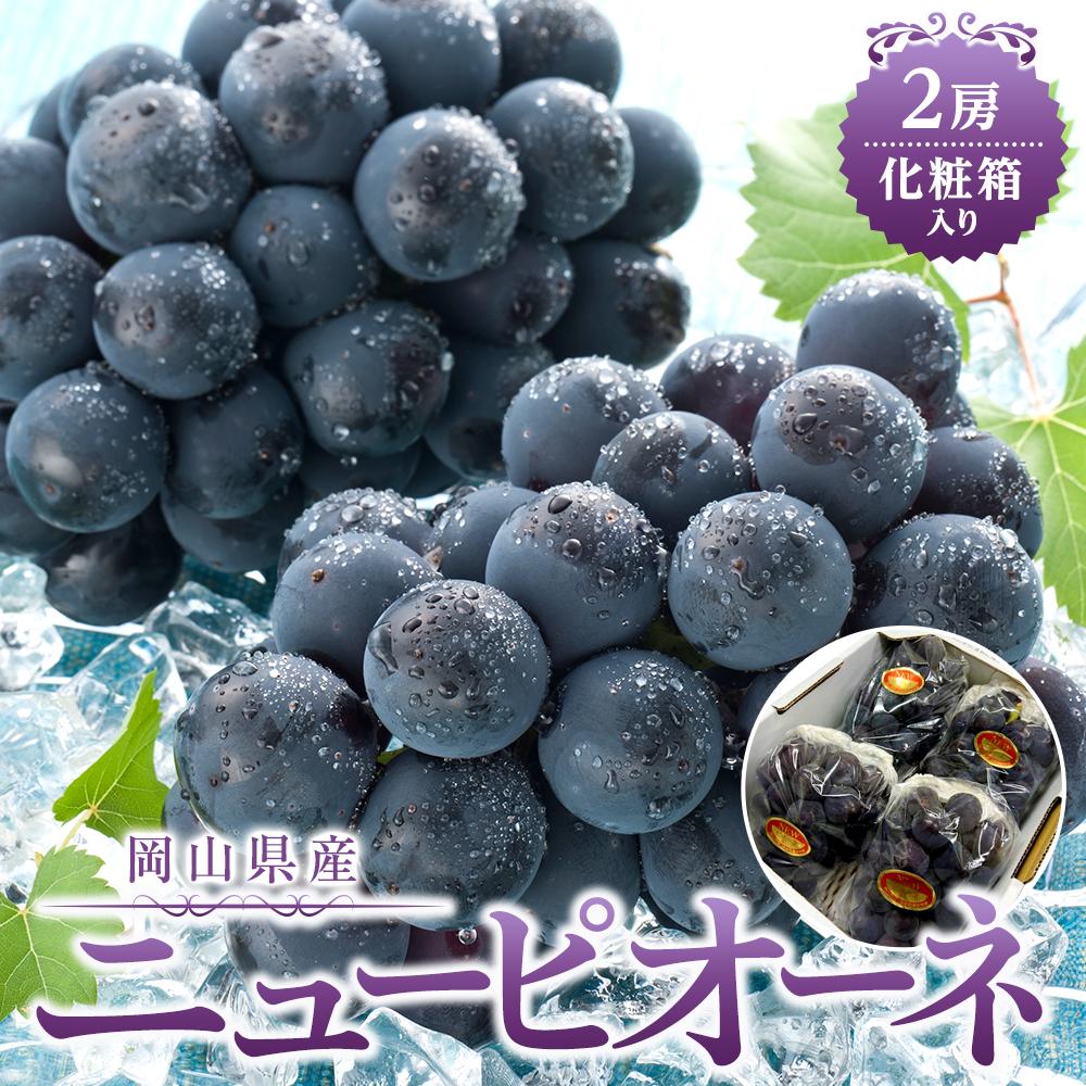 ぶどう 2026年 岡山県産 ニューピオーネ2房(1房480g以上) 化粧箱入り | フルーツ 果物 くだもの 食品 人気 おすすめ 送料無料