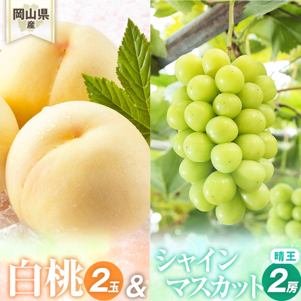 桃 ぶどう 2026年 岡山県産 詰合/白桃2玉(1玉220g以上)・シャインマスカット『晴王』2房(1房480g以上) 化粧箱入り | フルーツ 果物 くだもの 食品 人気 おすすめ 送料無料