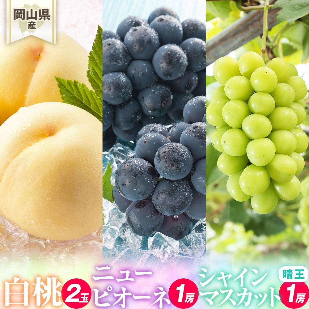 桃 ぶどう 2026年 岡山県産 詰合/白桃2玉(1玉220g以上)・ニューピオーネ1房(480g以上)・シャインマスカット『晴王』1房(480g以上) 化粧箱入り | フルーツ 果物 くだもの 食品 人気 おすすめ 送料無料