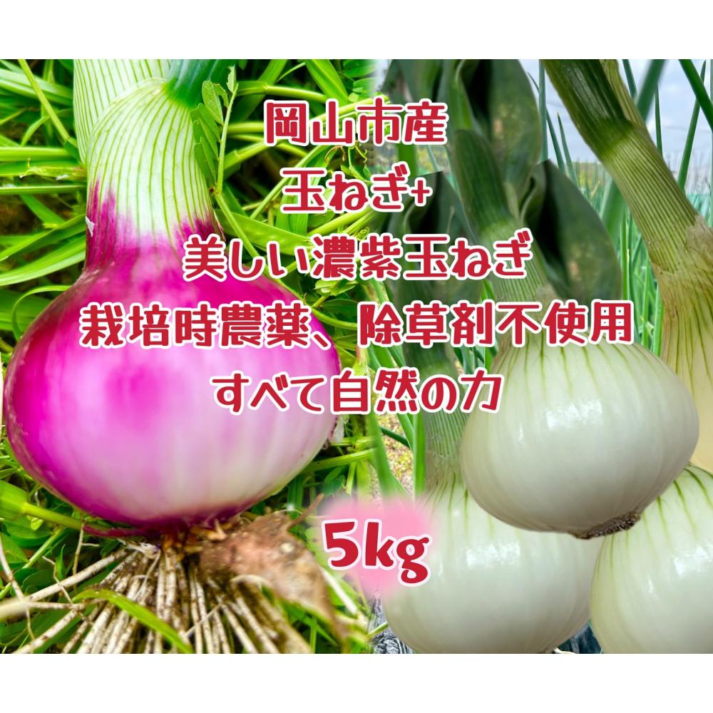 【白玉ねぎ+赤玉ねぎ】5kgセット家庭用 減化学肥料 タマネギ 生食 健康 野菜 食品 培期間中農薬・除草剤不使用自然の力 食べ比べ 訳あり(サイズ混合) | 野菜 やさい 食品 人気 おすすめ 送料無料