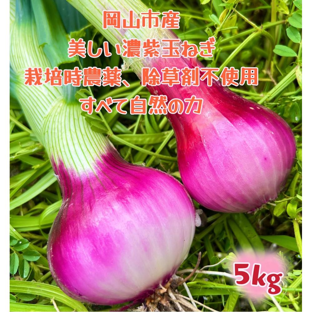 甘すぎ新鮮岡山市産 赤紫玉ねぎ5kg家庭用 減化学肥料 タマネギ 生食 健康 野菜 食品 栽培期間中農薬・除草剤不使用自然の力健康野菜 訳あり（サイズ混合) | 野菜 やさい 食品 人気 おすすめ 送料無料