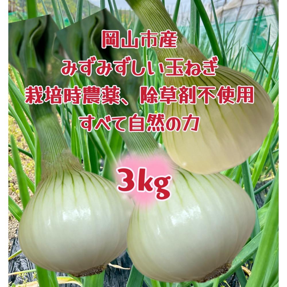 甘すぎ新鮮岡山市産 玉ねぎ3kg 減化学肥料 家庭用 タマネギ 生食 健康 野菜 食品 栽培期間中農薬・除草剤不使用全て自然の力健康野菜 訳あり（サイズ混合) | 野菜 やさい 食品 人気 おすすめ 送料無料