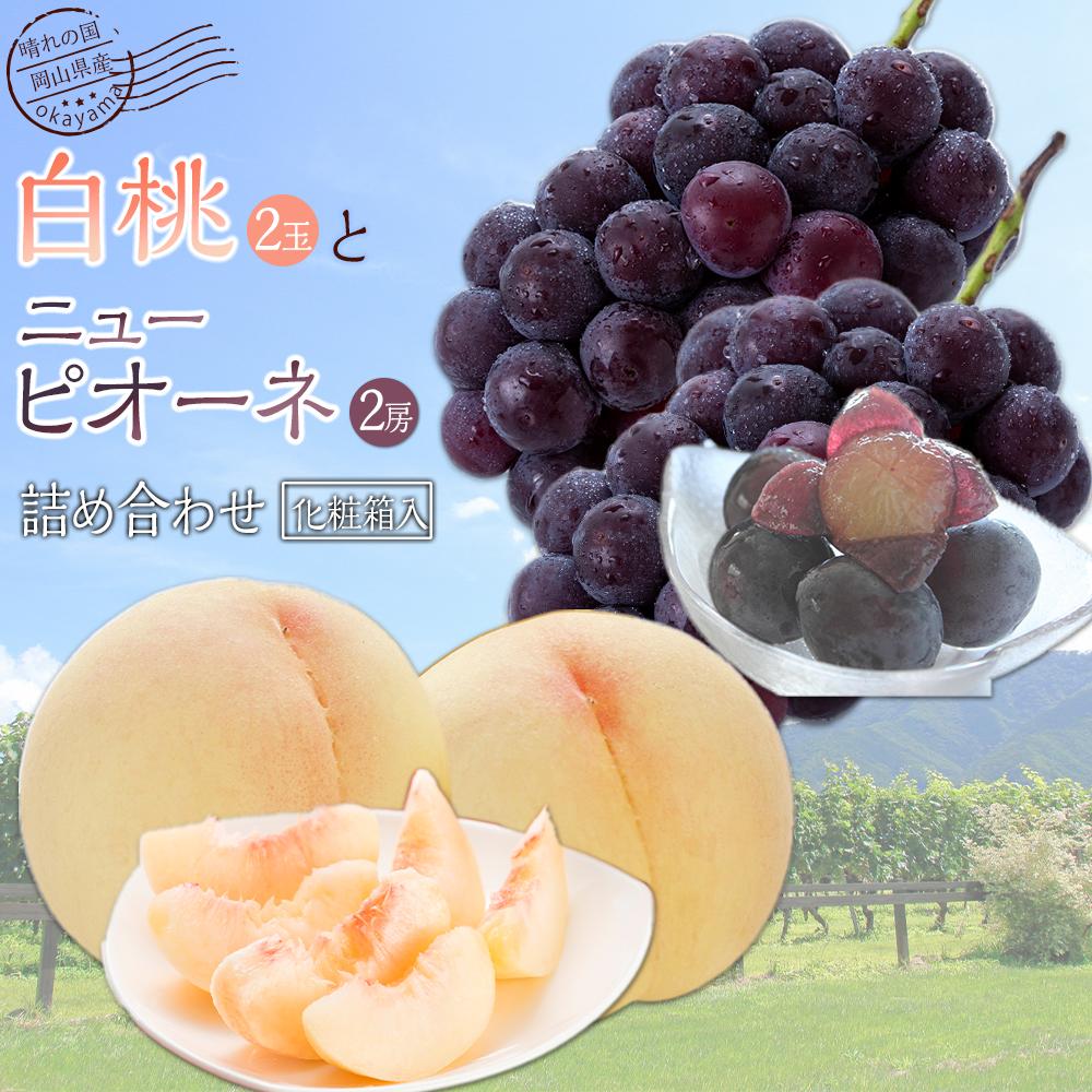 桃 ぶどう 2026年 果物詰合せ 白桃 2玉（1玉200g以上） ニュー ピオーネ 2房（合計約940g）化粧箱入り もも 葡萄 岡山県産 国産 フルーツ ギフト | もも フルーツ 果物 くだもの 食品 人気