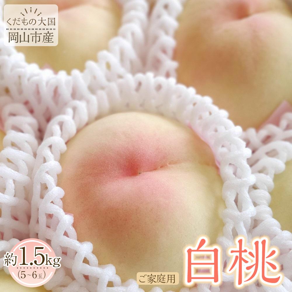 岡山市産 白桃 ご家庭用 約1.5kg 5~6玉 ＜2026年7月上旬～8月下旬頃出荷＞ | 果物 くだもの フルーツ 先行受付 白桃 桃 モモ momo 岡山県 岡山 お取り寄せ 人気 おすすめ