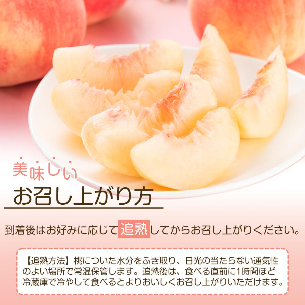 【ふるさと納税】岡山市産 白桃 ご家庭用 約1.5kg 5~6玉 ＜2026年7月上旬～8月下旬頃出荷＞ | 果物 くだもの フルーツ 先行受付 白桃 桃 モモ momo 岡山県 岡山 お取り寄せ 人気 おすすめ サムネイル3